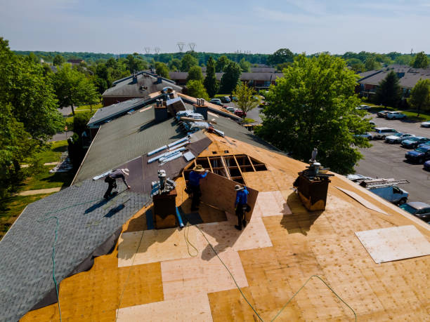 Trusted Flat Roof Repair service in Augusta, WV - Brentwood Metal Roofing